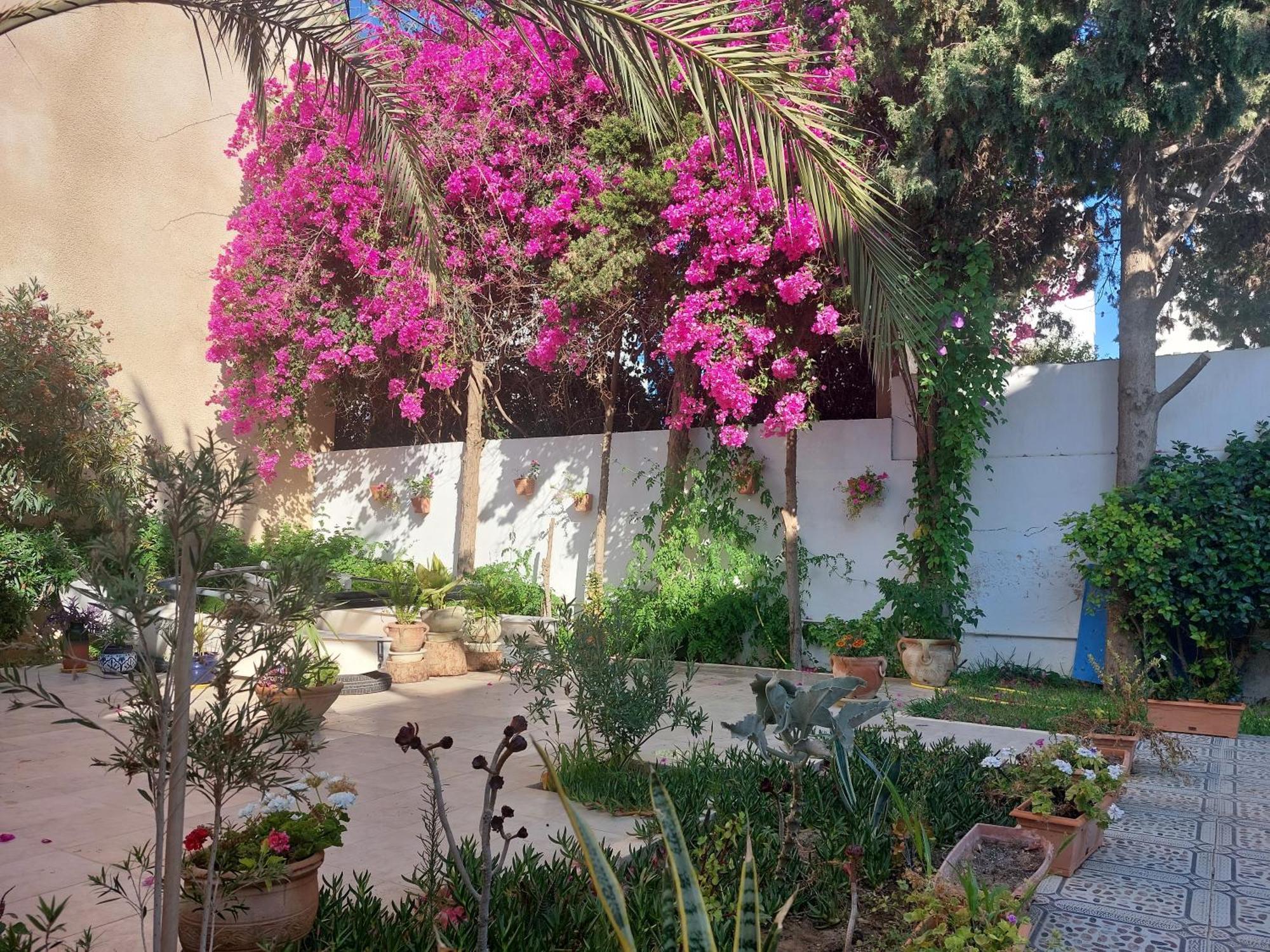 Villa Azaiiza 수스 외부 사진